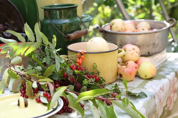 Äpfel Und Zweige Mit Beeren Auf Dem Datscha Tisch — Stockfoto