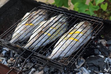 Dorado, ızgara bir Barbekü ızgara