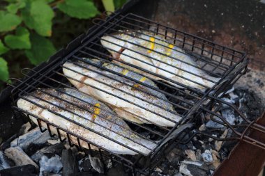 Dorado, ızgara bir Barbekü ızgara