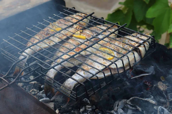 Fisk Dorado Grillen — Stockfoto