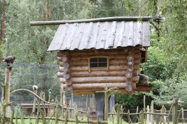 Tavuk ayağı üzerinde bir kulübe. Peri Baba Yaga evi