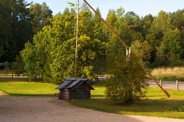 Gut Aus Baumstämmen Dekorativer Baumstamm Gut — Stockfoto