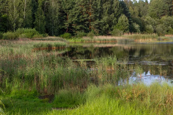 Staw Parku Zachód Słońca Nad Staw Park — Zdjęcie stockowe