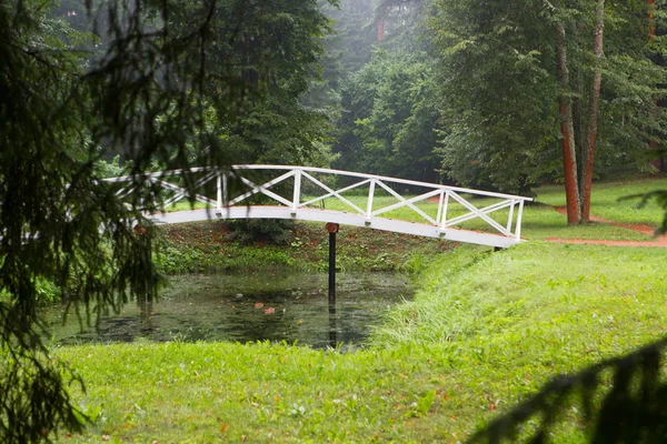 Wooden Humpback Bridge Pond Park — Stock Photo, Image