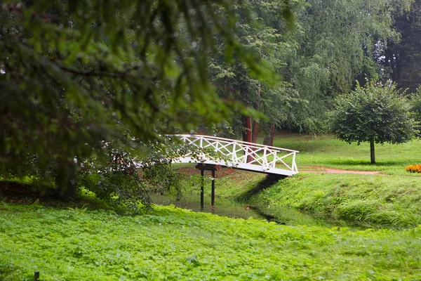 Trä Knölvalar Bro Över Dammen Parken — Stockfoto