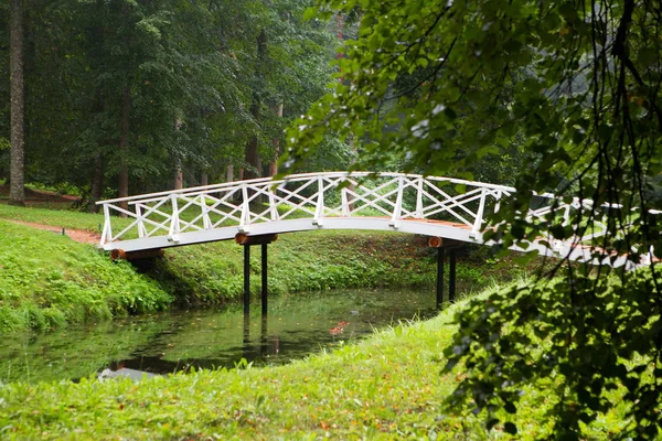 Ponte Corcunda Madeira Sobre Lagoa Parque — Fotografia de Stock