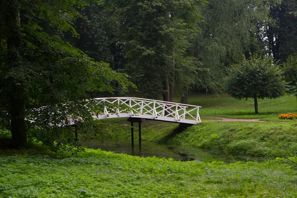 Vacker Vit Bro Över Dammen Parken — Stockfoto
