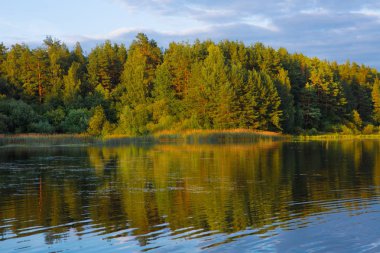Nehir. Su gökyüzünün yansıması. Ağaçlar nehir kıyısında. Güzel manzara