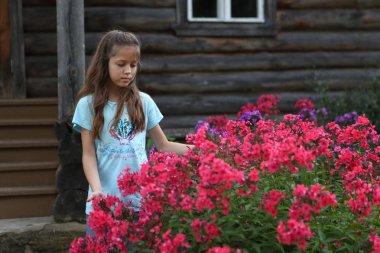 Bir kıza çiçek açan phlox yanında duruyor.