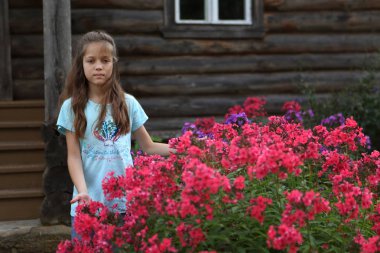 Bir kıza çiçek açan phlox yanında duruyor.