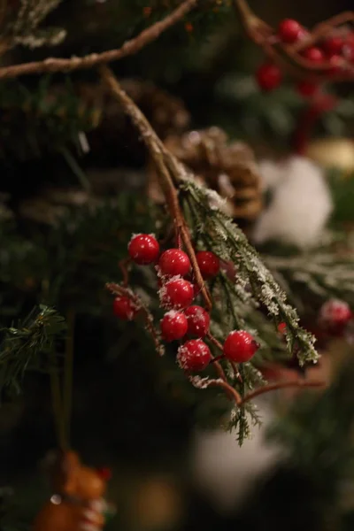 Decorações Natal Nos Ramos Árvore Natal — Fotografia de Stock