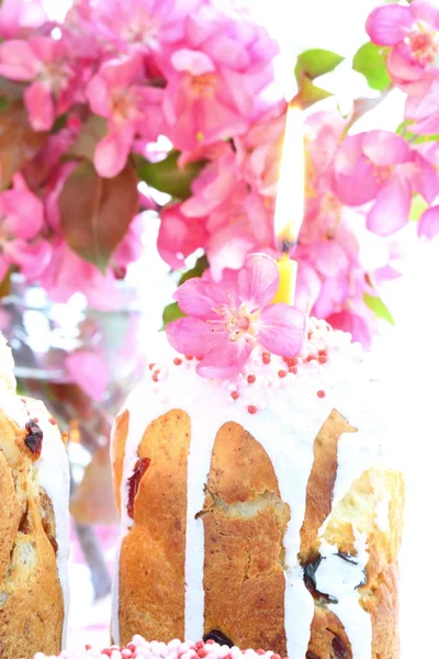 Gâteau Pâques Fleurs Pomme Paradisiaque — Photo