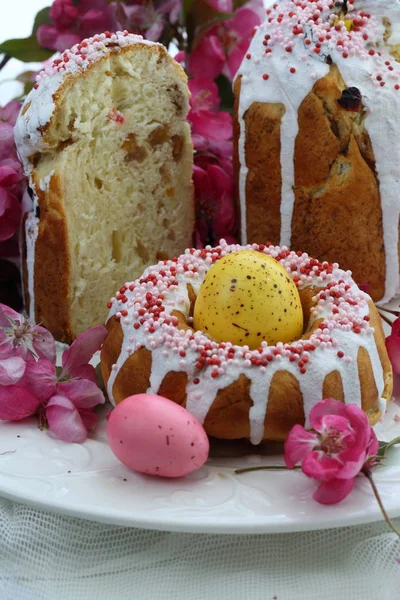 Osterkuchen Eier Und Paradiesapfelblüten — Stockfoto