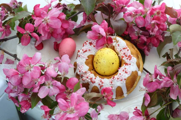 부활절 케이크 계란과 사과의 — 스톡 사진