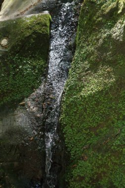 Doğal geçit. Taşlar ve mağaralar üzerinde yosun