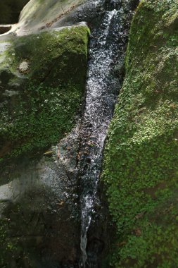 Doğal geçit. Taşlar ve mağaralar üzerinde yosun