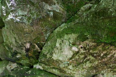 Doğal geçit. Taşlar ve mağaralar üzerinde yosun