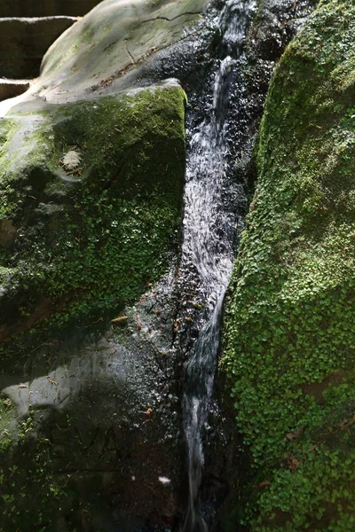 Gorge Naturelle Mousse Sur Les Pierres Les Grottes — Photo