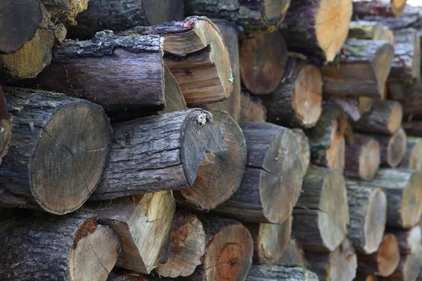 Bois Chauffage Récolté Cour Hiver Dans Pays — Photo