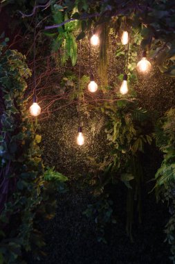 Lambalar ile güzel, yeşil dekor