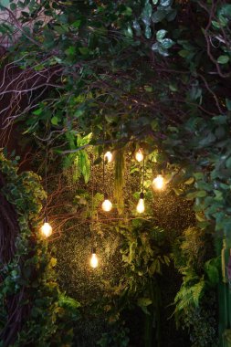 Lambalar ile güzel, yeşil dekor