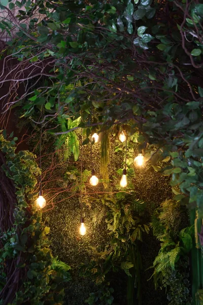 Beautiful, green decor with lamps