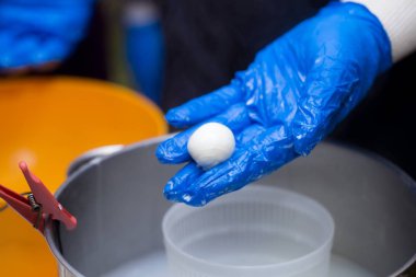 Kadın elleri mozzarella tutuyor. Mozzarella. Yemek mozzarella