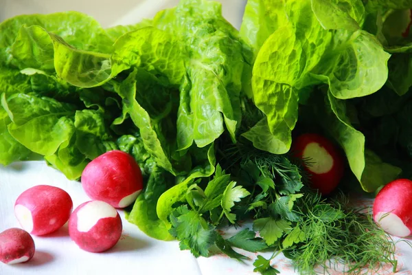 Green lettuce, dill, parsley and radishes. Green Salad Leaves