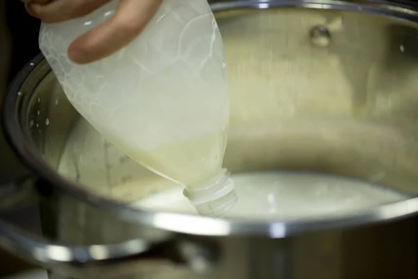 Процесс Создания Зернышка Сыра Кулинария Моцарелла — стоковое фото