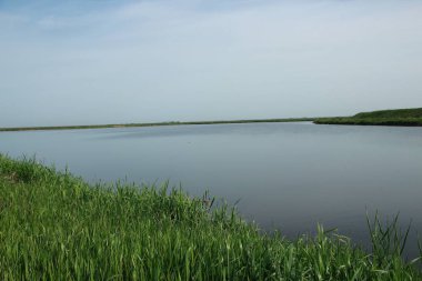Tarlalar arasında nehir. Güzel manzara
