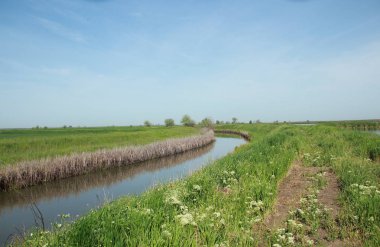 alanlar arasında nehir. güzel manzara