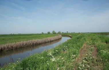 alanlar arasında nehir. güzel manzara