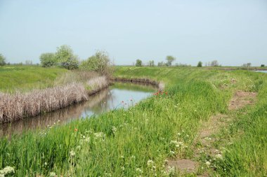 alanlar arasında nehir. güzel manzara