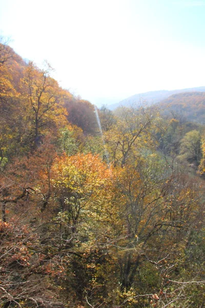Błękitne Niebo Nad Jesiennym Lasem Jesienny Krajobraz — Zdjęcie stockowe