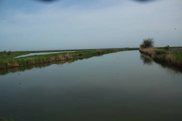 Río Entre Los Campos Hermoso Paisaje — Foto de Stock