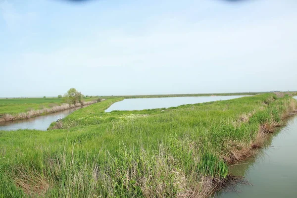 Río Entre Los Campos Hermoso Paisaje — Foto de Stock