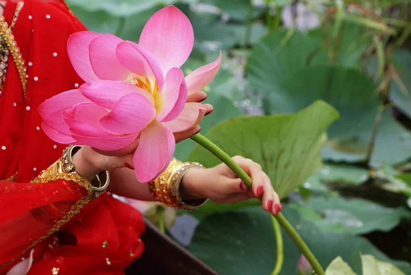 Female Hands Holding Lotus Flower — Stock Photo, Image