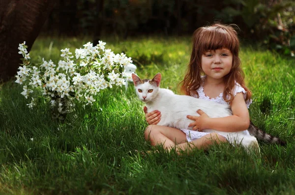 Holčička Držící Bílou Kočku — Stock fotografie