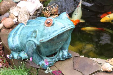 Büyük kırmızı balık ile yapay gölet