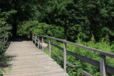 nehir üzerinde ahşap tahta köprü