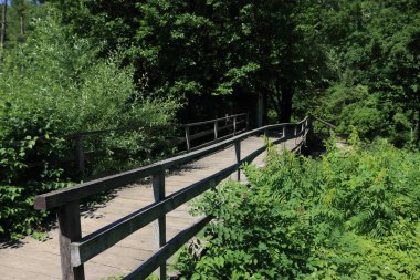 nehir üzerinde ahşap tahta köprü