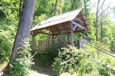 Ağaçların arasında ormanda eski ahşap çardak