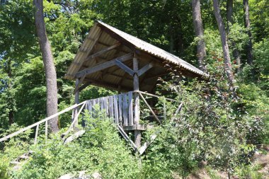 Ağaçların arasında ormanda eski ahşap çardak