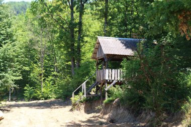 Ağaçların arasında ormanda eski ahşap çardak