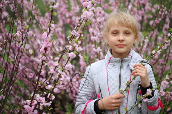 Mädchen Park Der Nähe Blühender Dekorativer Mandeln — Stockfoto