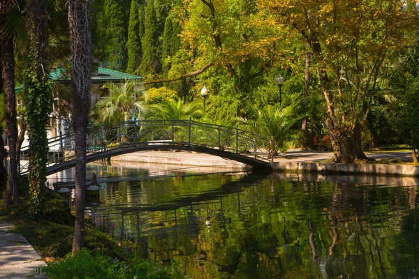 横跨天鹅湖的桥 美丽的风景 — 图库照片