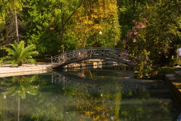 Bridge Swan Lake Beautiful Landscape — Stock Photo, Image