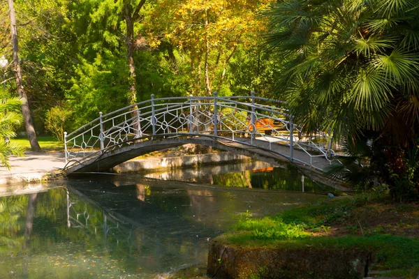Die Brücke Über Den Schwanensee Schöne Landschaft — Stockfoto