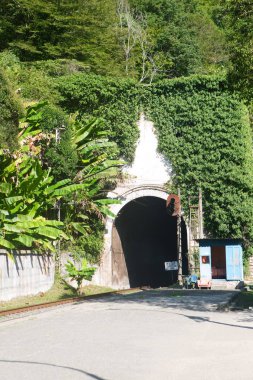 dağlarda tren için tünel. ormanlarla kaplı dağlar