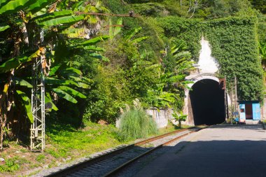 dağlarda tren için tünel. ormanlarla kaplı dağlar